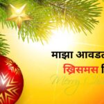 माझा आवडता सण ख्रिसमस निबंध: Majha Avadta San Christmas